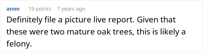 Comment mentioning mature oak trees and legal implications related to a neighbor cutting down white oak trees without permission.