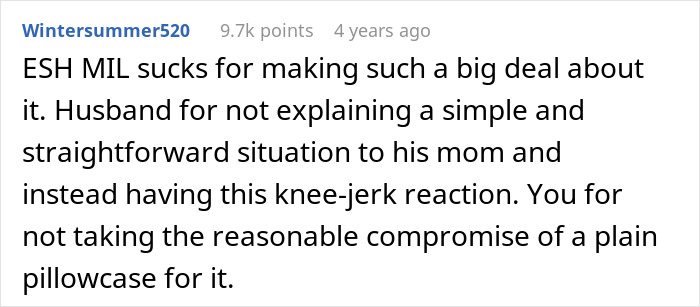 Text comment from Wintersummer520 discussing MIL reacting strongly to son's relationship with wife and an anime pillow. Text comment from Wintersummer520 discussing MIL reacting strongly to son's relationship with wife and an anime pillow.