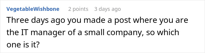 Screenshot of a forum comment discussing a small company IT manager role with text about an expensive employee fired.