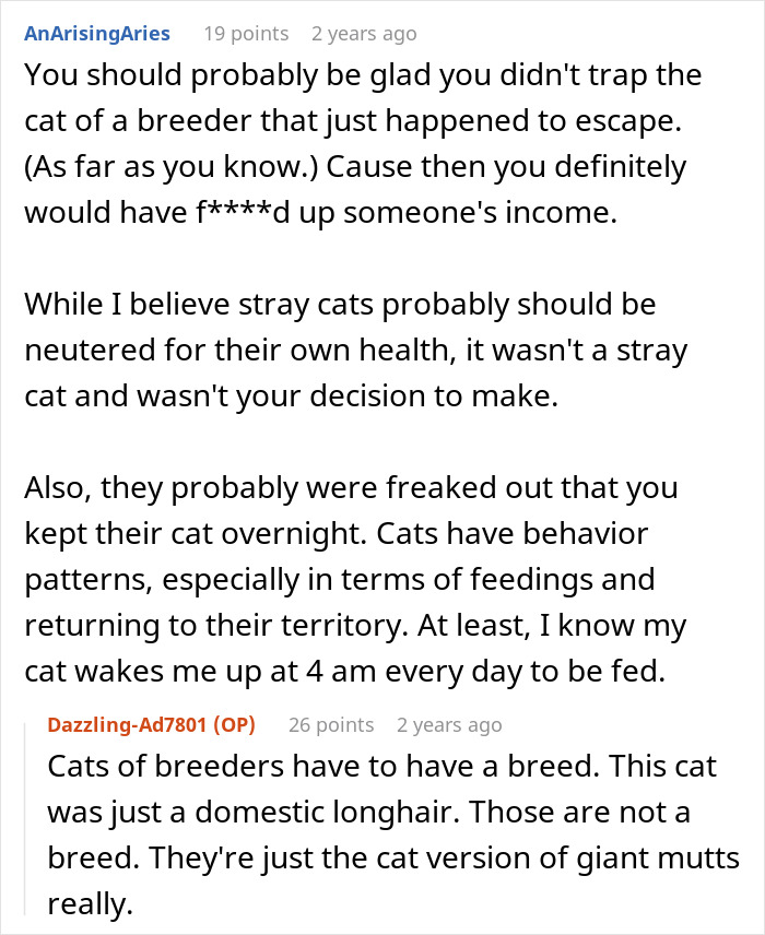 Reddit conversation discussing neutering cat owners drama and the ethics of neutering non-stray cats without permission.