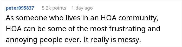 Comment from HOA community member expressing frustration with HOA as annoying and messy in managing rules.