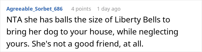 Comment discussing friend who house sits, locks up dogs for hours, and neglects others while letting her own roam free.