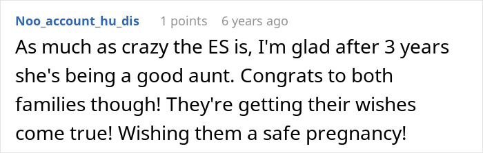 Screenshot of a social media comment about a sister sending adoption papers after mistaking babysitting offer.