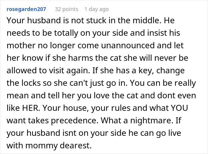 Uninvited MIL making demands about the cat, causing conflict and issues in the household dynamics.