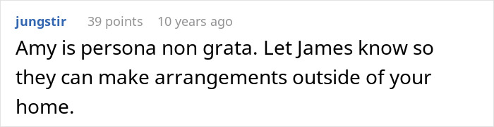 Comment stating Amy is persona non grata and suggesting informing James to arrange meetings outside the home discussed in party dispute.