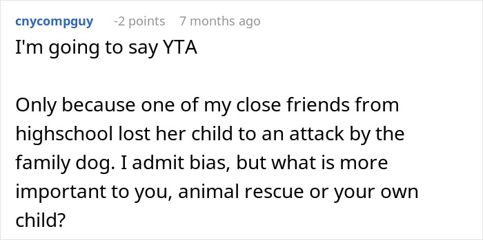 Commenter discussing concern over family dog risks and potential CPS call due to spouse's parents disapproving dogs in house.