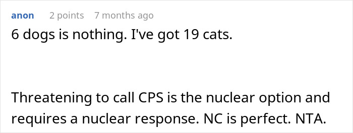 Comment about losing sleep over potential CPS call as spouse's parents disapprove of dogs in the house.