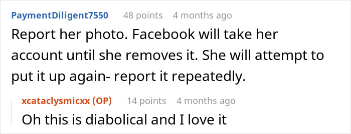 Reddit conversation discussing a woman calling out her mother-in-law for hijacking pregnancy on Facebook profile.