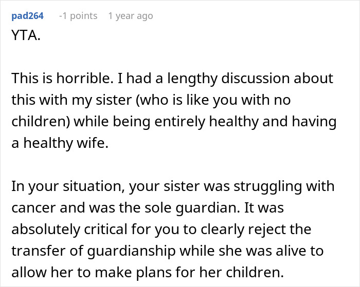 Screenshot of a forum comment discussing a woman’s life turning upside down after her late sister’s dying wish and no children. Screenshot of a forum comment discussing a woman’s life turning upside down after her late sister’s dying wish and no children.