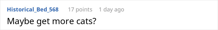 Screenshot of an online comment saying maybe get more cats in a discussion about an unhinged MIL showing up uninvited.