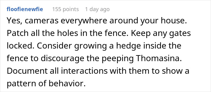 Comment suggesting to install cameras, patch fence holes, and document behavior to address neighbor spying through drilled holes.