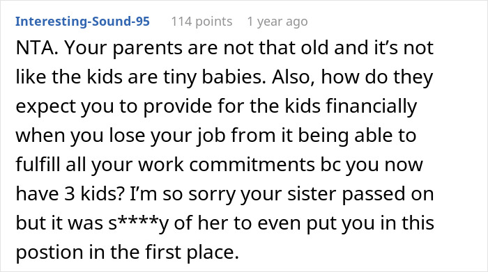 Commenter discussing the impact on a woman’s life after her late sister’s dying wish to care for her kids. Commenter discussing the impact on a woman’s life after her late sister’s dying wish to care for her kids.