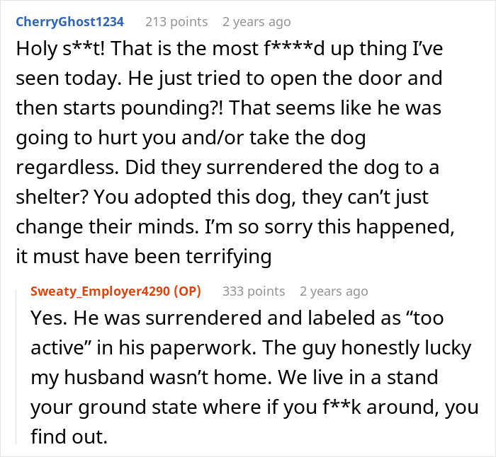 Comments discussing a woman surrendering a dog to a shelter and the challenges faced after the dog&rsquo;s adoption and police involvement.