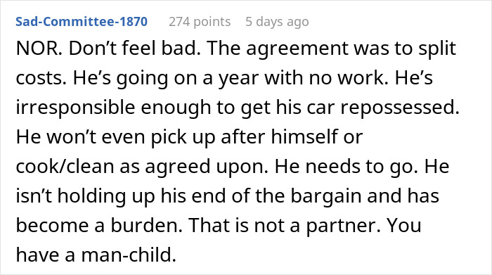 Comment criticizing lazy guy for being irresponsible and a man-child after girlfriend calls him out for not contributing.