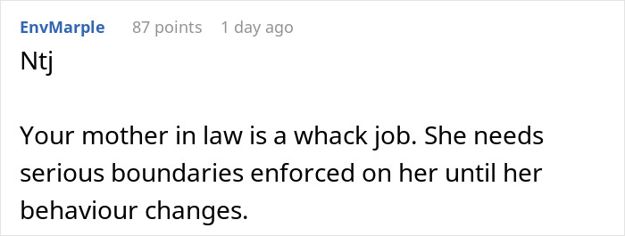 Comment about mother in law needing boundaries after secret trash digging leads to ban from couple's visits.