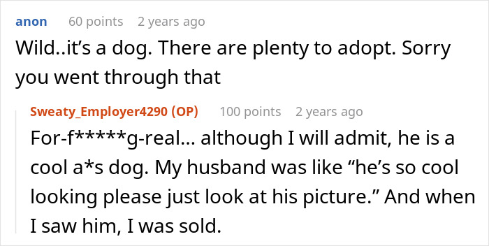 Comments on a post about a dog adoption story involving a woman, shelter, and police getting involved.