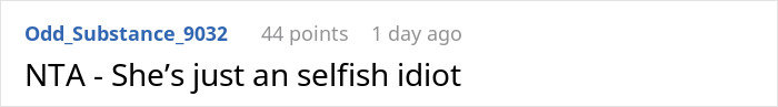 Screenshot of a Reddit comment saying NTA and calling the friend a selfish idiot in a house sitting dispute.