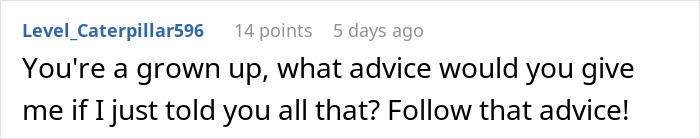 Screenshot of a Reddit comment saying You&rsquo;re a grown up, what advice would you give me if I just told you all that Follow that advice.