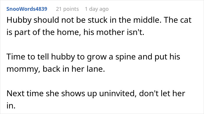 Comment discussing uninvited MIL making demands and advice to set boundaries for the cat and family dynamic.