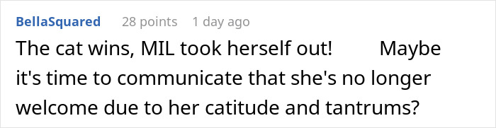 Comment about cat winning over unhinged MIL, discussing boundaries and communication regarding demanding mother-in-law behavior.