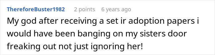 Screenshot of a Reddit comment about sister sending adoption papers after mistaking babysitting offer.
