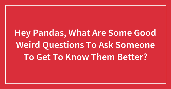 Hey Pandas, What Are Some Good Weird Questions To Ask Someone To Get To Know Them Better? (Closed)