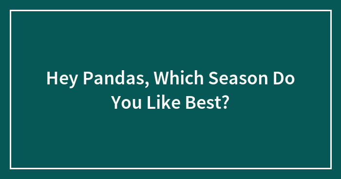 Hey Pandas, Which Season Do You Like Best? (Closed)