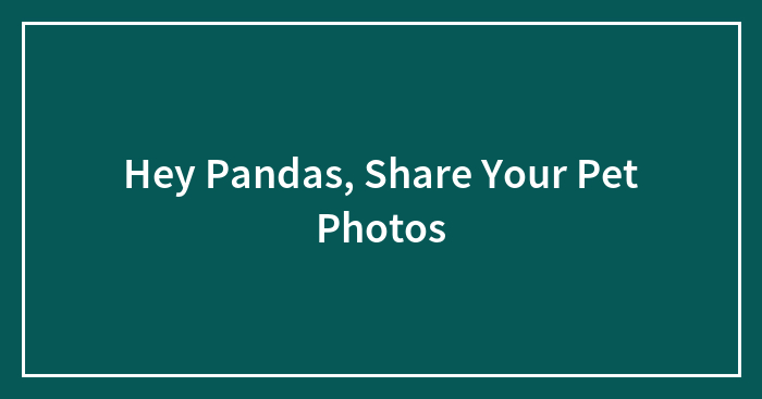 Hey Pandas, Share Your Pet Photos