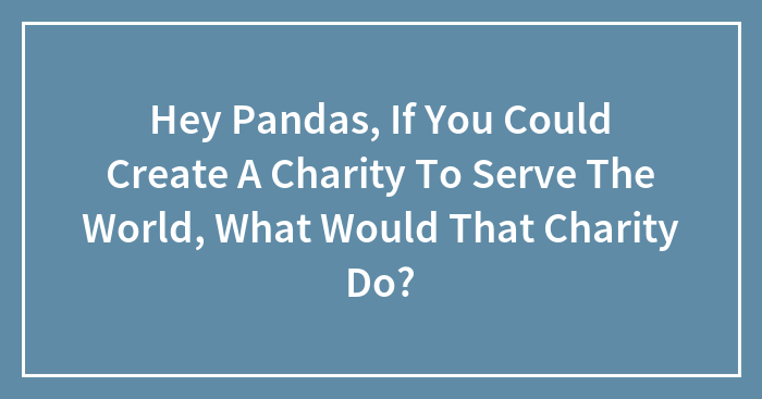 Hey Pandas, If You Could Create A Charity To Serve The World, What Would That Charity Do?