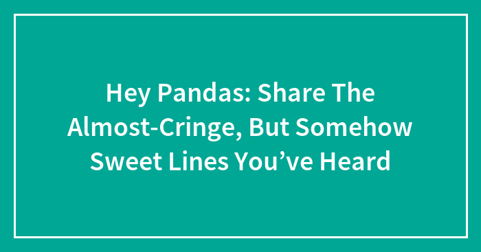 Hey Pandas: Share The Almost-Cringe, But Somehow Sweet Lines You’ve Heard (Closed)