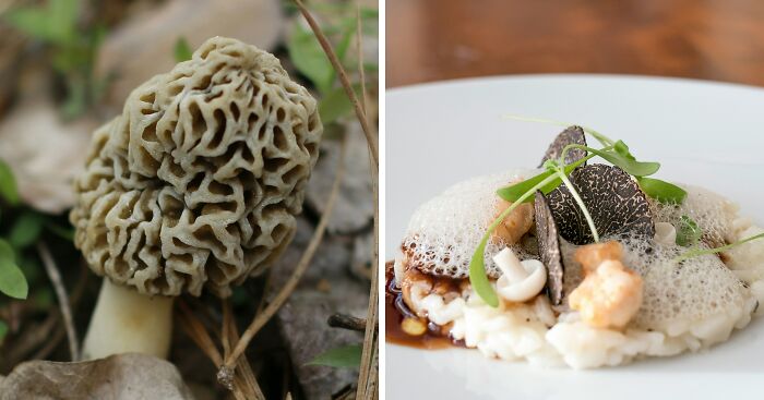 “I’m Glad I’m Poor”: Scientists Link Wealthy-Favored Superfood To ALS, Or Lou Gehrig’s Disease