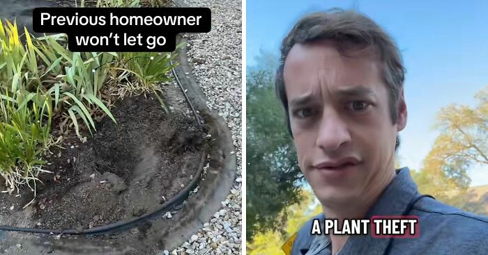 “Call The Cops”: Man’s Ongoing Plant Feud With House’s Former Owner Goes Viral