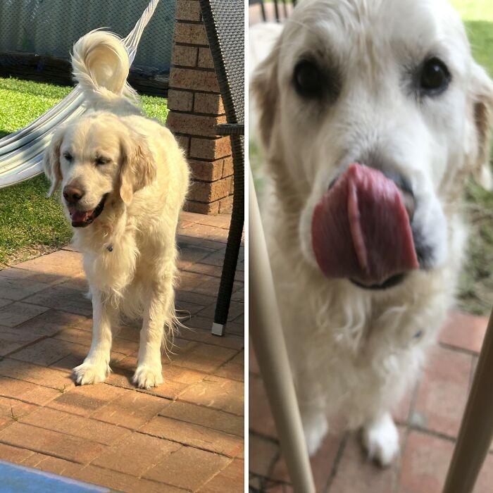 Here Are 20 Of My Dog Pics