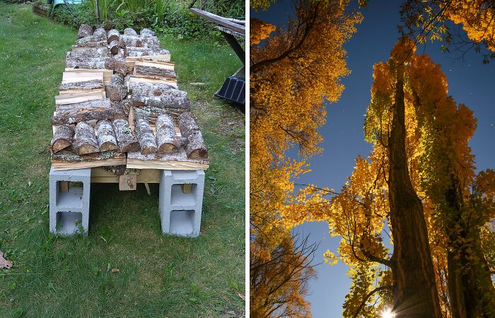 Hey Pandas, Post Your Autumn Vibe Photos That You Took (Closed)