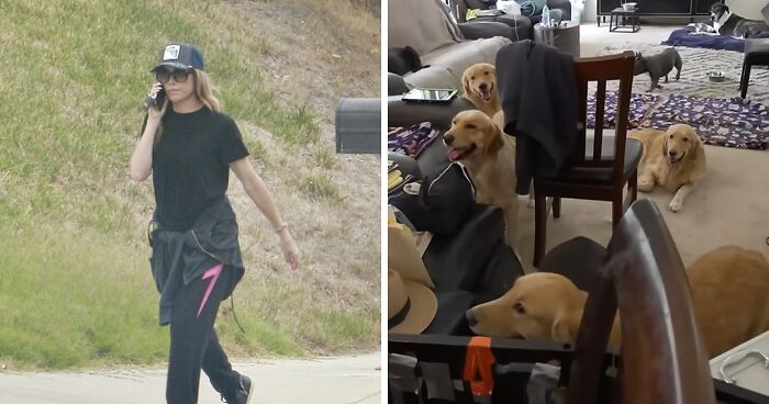 Denise Richards Rescues 15 Dogs From Estranged Husband’s “Trashed” Home Amid Bitter Divorce
