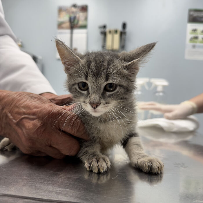 Hidden Costs Of Surrender: What No One Thinks About