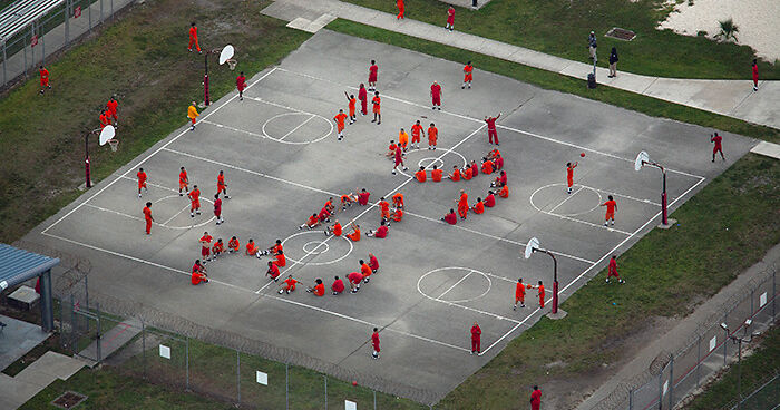 Hundreds Of Detainees Reportedly Missing From ICE Records After Being Sent To ‘Alligator Alcatraz’