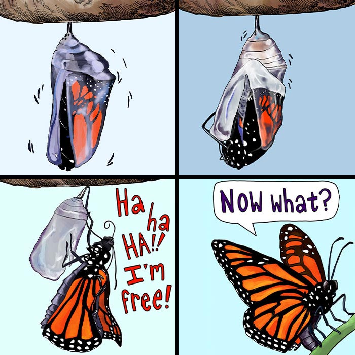 50 Animal Comics That Our Readers Loved The Most