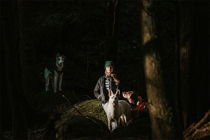 Person standing with dogs in a dark forest, capturing a creepy and unexplained experience in a mysterious setting.