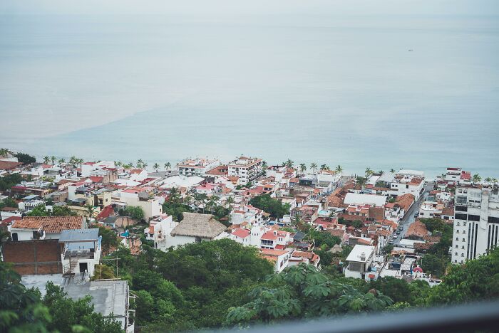Coastal town with dense buildings and palm trees overlooking calm ocean waters, evoking mysterious disappearance cases.