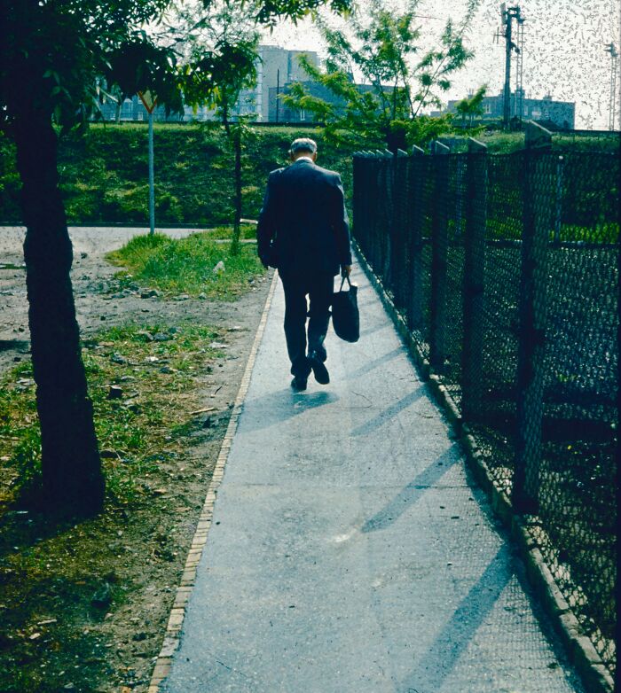 Man walking alone on a narrow sidewalk beside a fence, representing unusual ways people died in almost hard to believe stories.