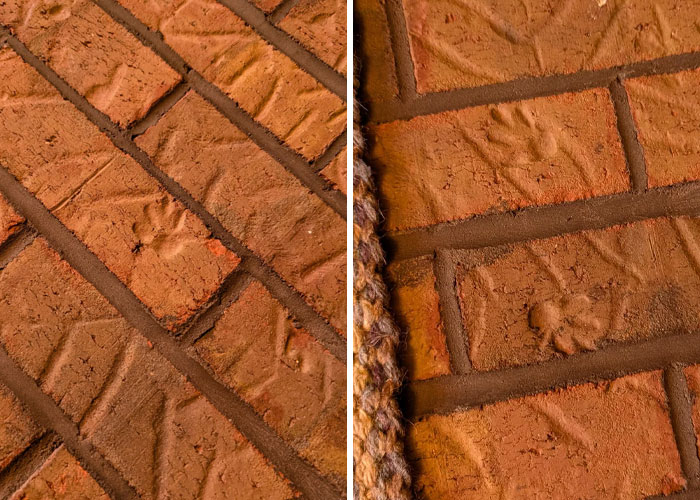 Close-up of cute cat paw prints embedded in reddish-brown bricks, showing detailed textures and patterns.