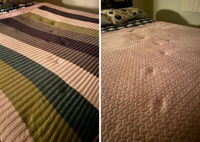 Cat paw prints visible on textured pink blanket and striped bedspread, showcasing cute cat paw prints on bedding surfaces.