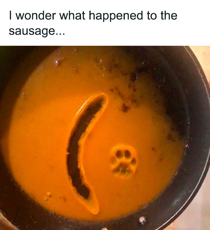Pan with melted cheese and a missing sausage alongside a clear cute cat paw print in the cheese surface.