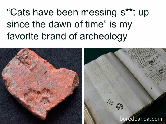 Ancient cat paw prints on clay and old manuscript showing cute cat paw prints from history.