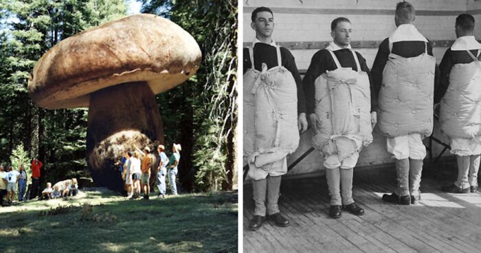 50 Disturbing Facts That Fans Of This Instagram Page Can’t Get Enough Of