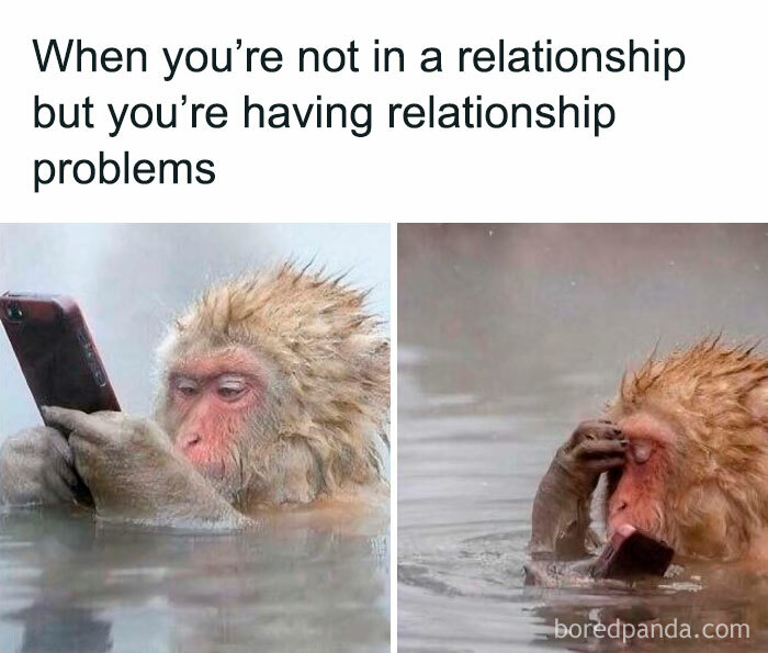Monkey in water using a phone looking stressed, illustrating unhinged memes about dating and relationship problems humor.
