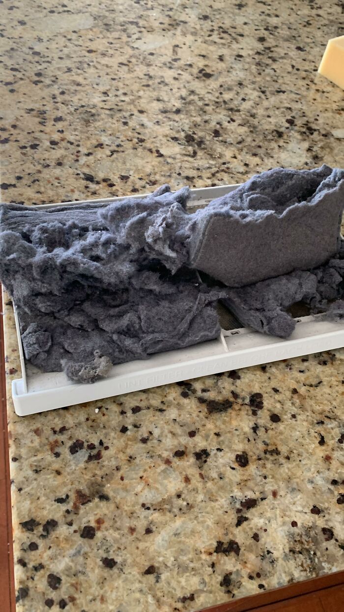 Clogged dryer lint trap filled with dust and fibers, highlighting hidden dangers related to anything is edible once risks.