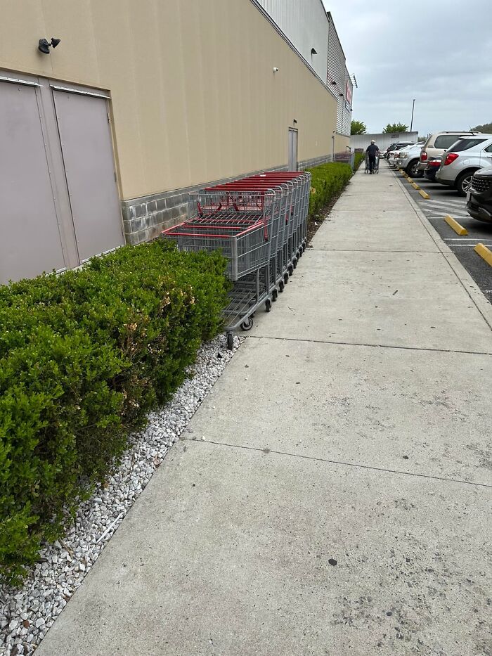 Shopping carts lined up along a store wall next to a sidewalk and parking lot, illustrating everyday life and survival moments.