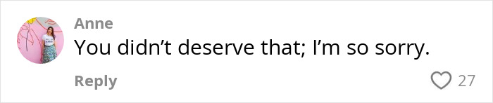 Comment from Anne expressing sympathy saying you didn’t deserve that in response to passenger attacks. Comment from Anne expressing sympathy saying you didn’t deserve that in response to passenger attacks.